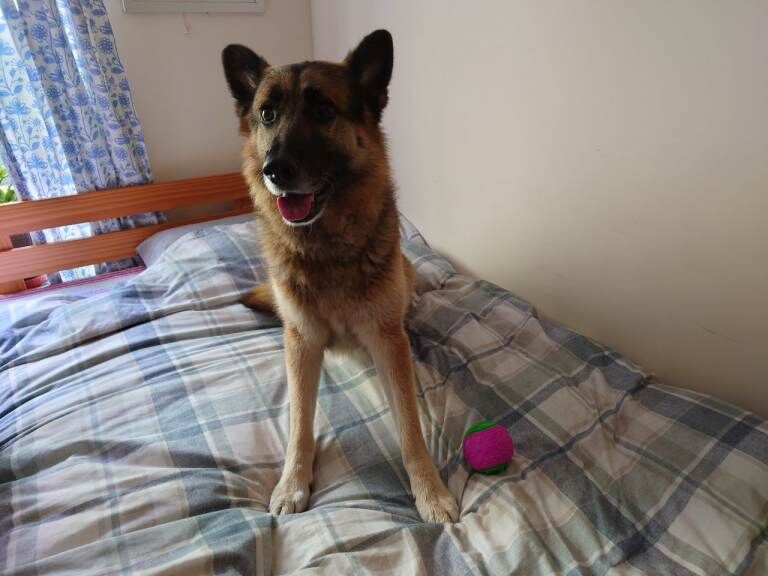 My boy needs new family