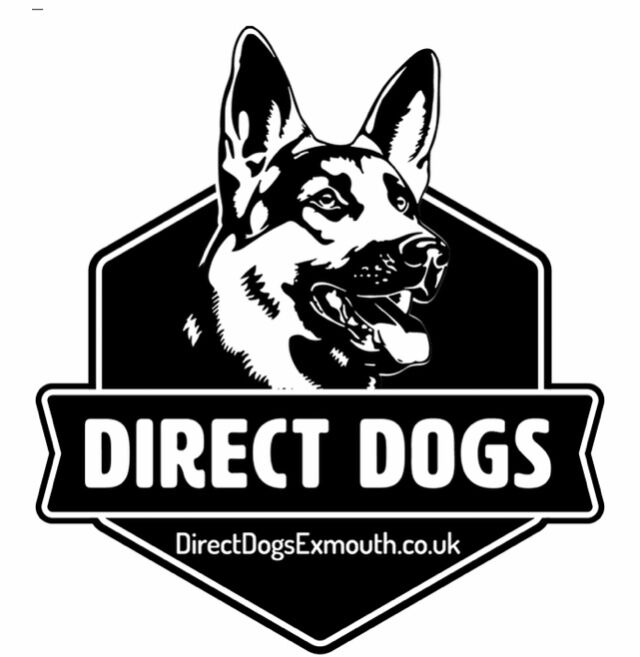 Direct Dogs Exmouth - Licensed German Shepherd Breeder
