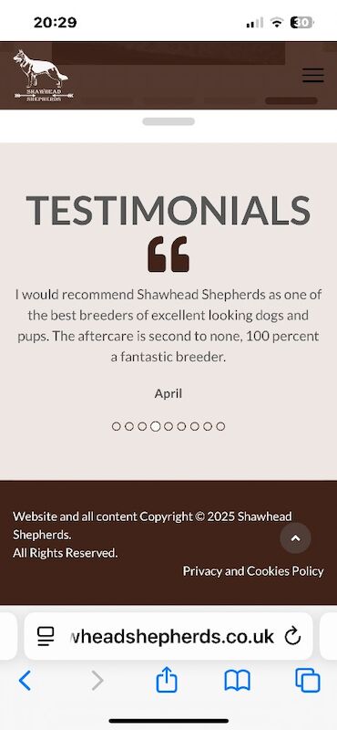 Katie Macdonald - German Shepherd Breeder on German Shepherd Owners - Image 8